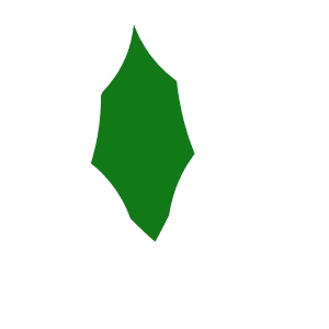 Christmas hollu leaf