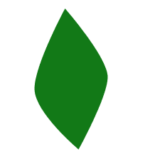 leaf shape