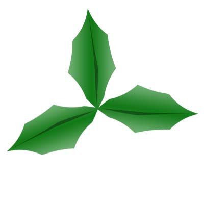 three christmas holly leafs arranged
