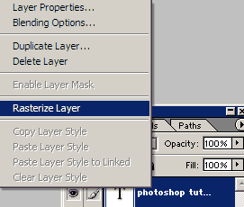 rasterize layer