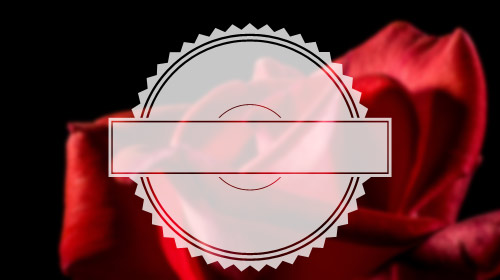 custom shape preview